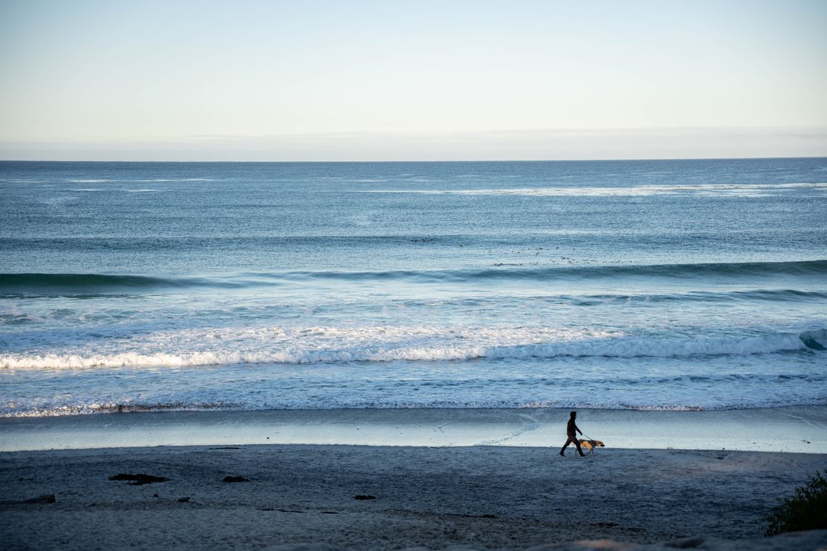 A lone surfer walks on Carmel Beach with gentle waves and a serene horizon.
